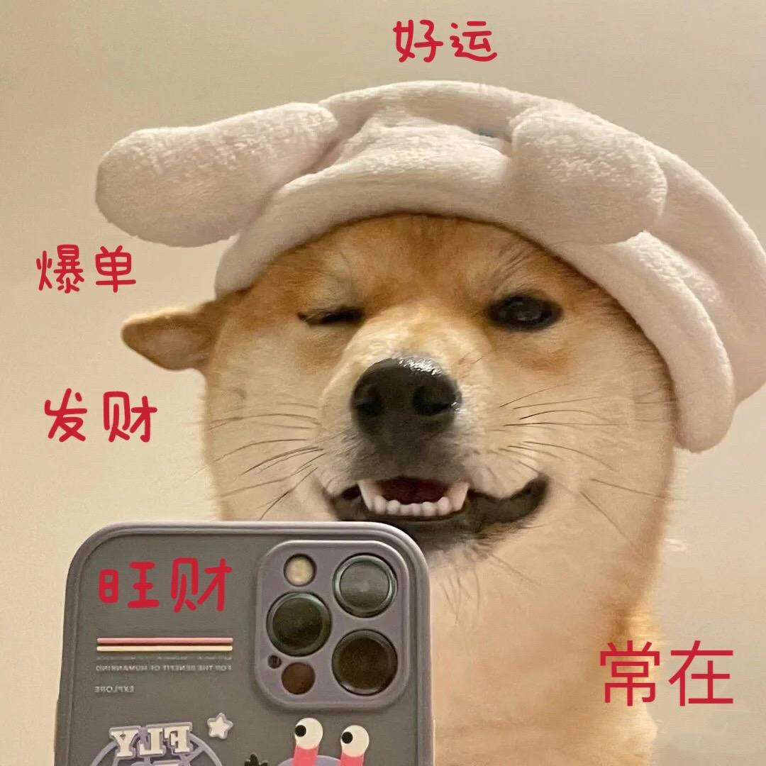 泰裤辣广州女鞋