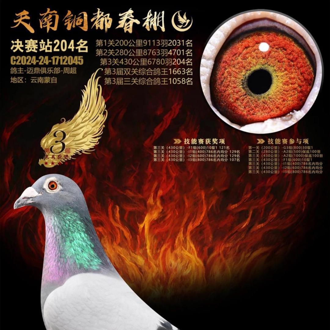 迈鼎俱乐部