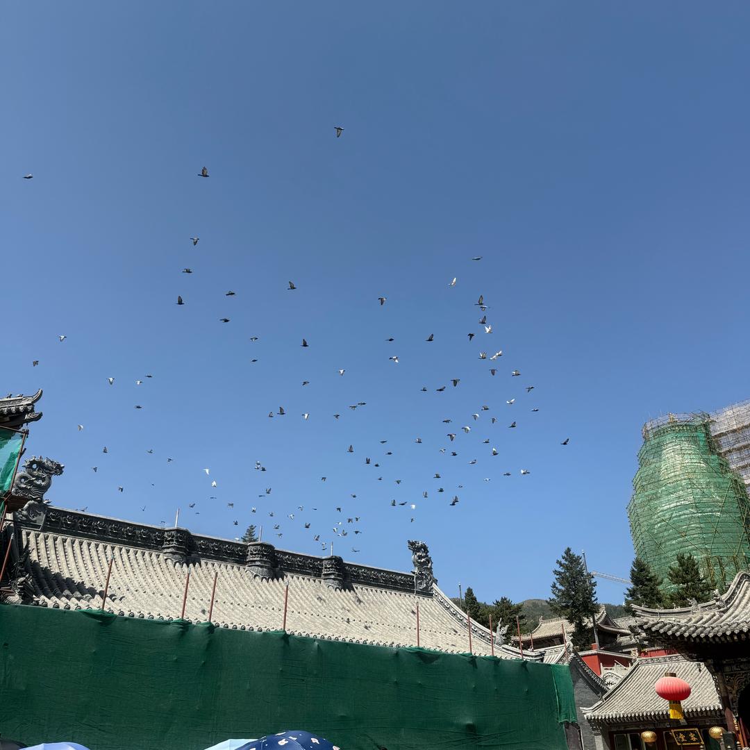 史姐
