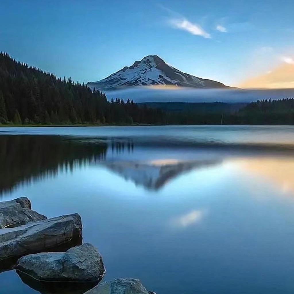 ❤️‍🔥纯属娱乐🥰