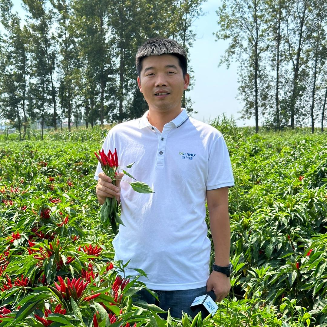 一米阳光说辣椒
