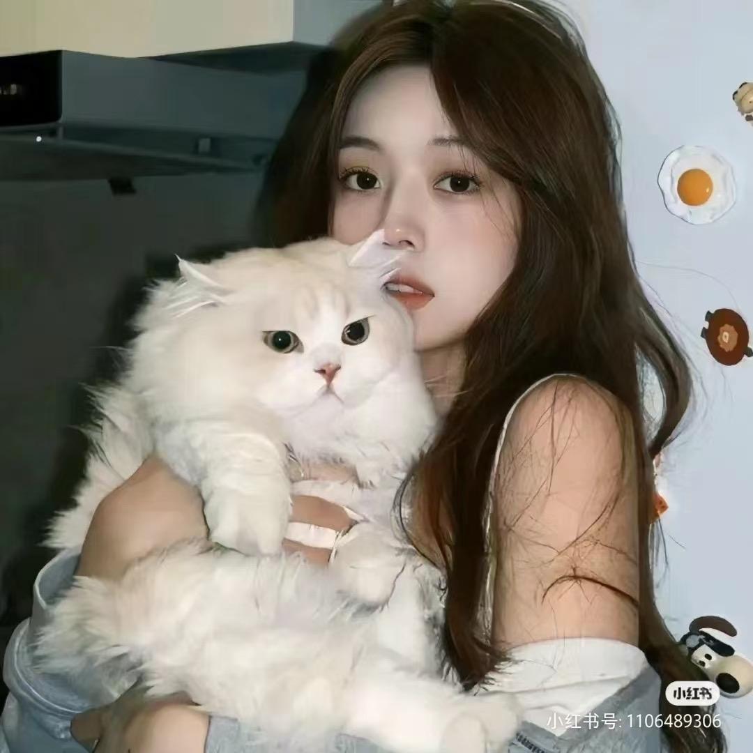 扶摇