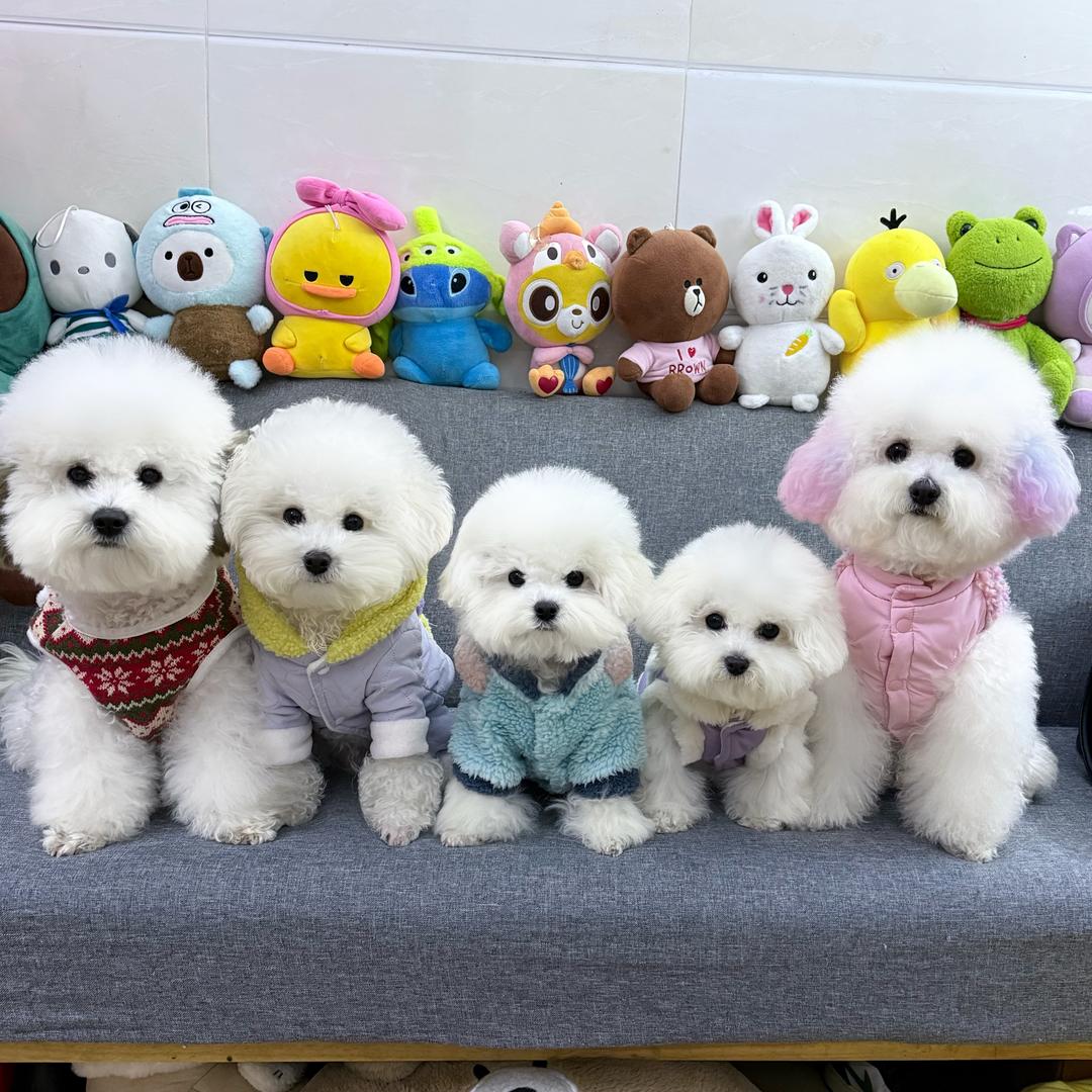 小B熊的麻麻@抖音