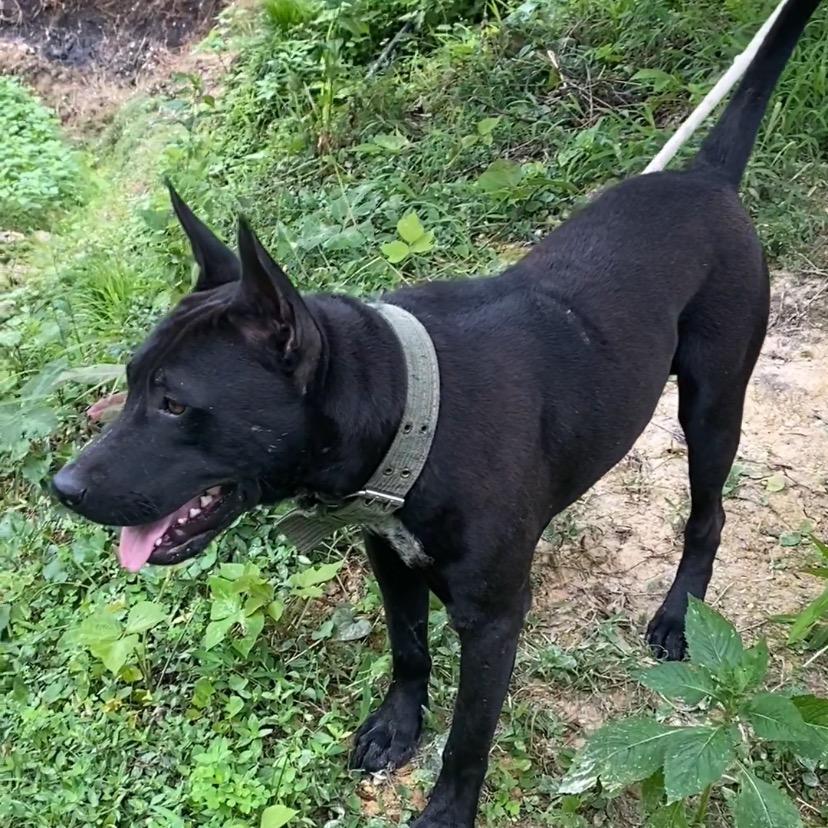 掌农人〈小杨〉