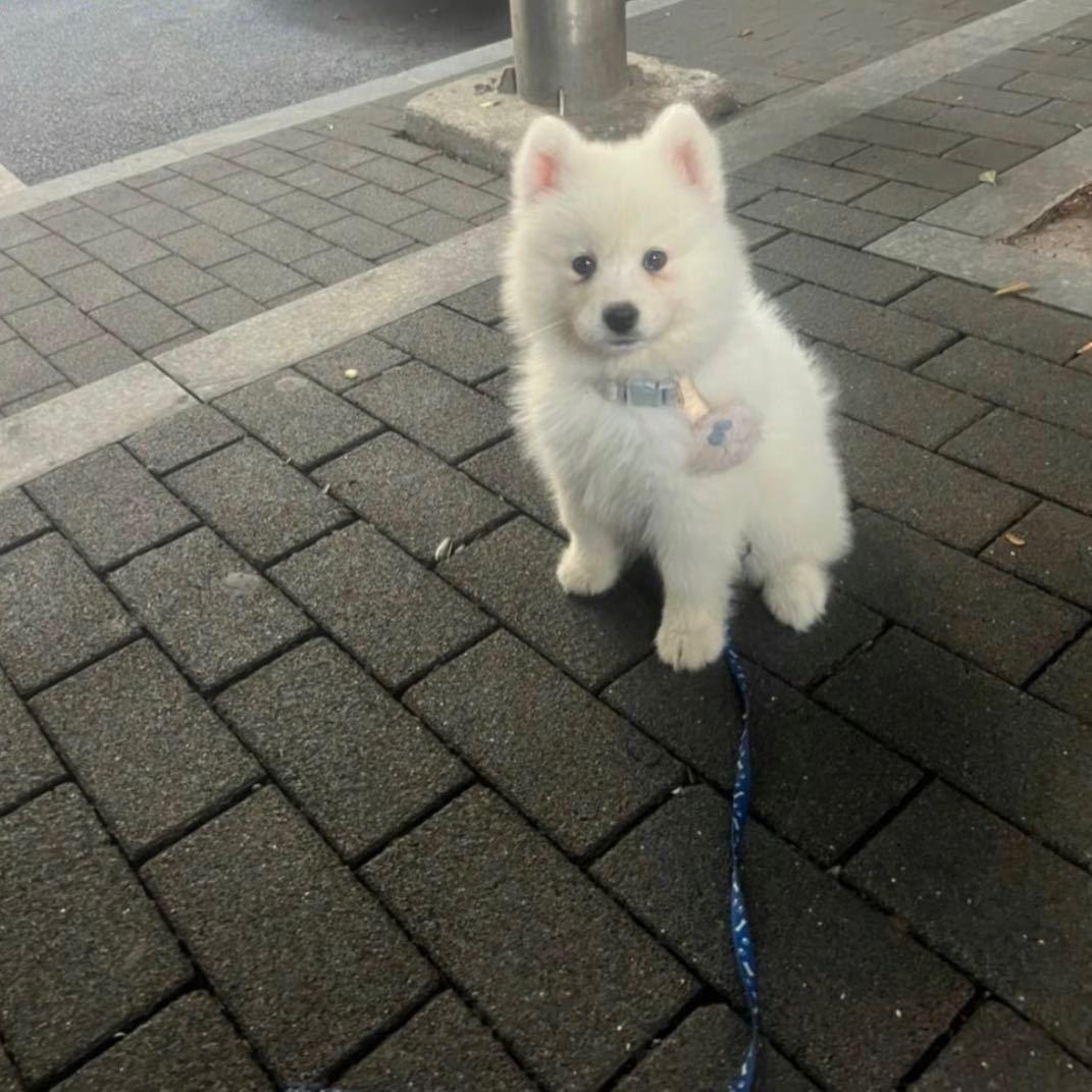 瘦
