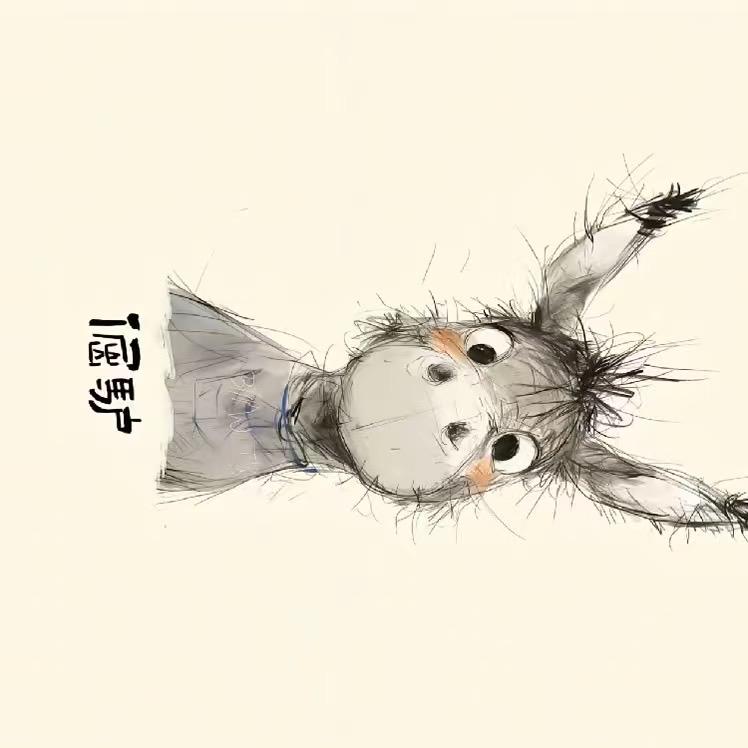 哈喽👋