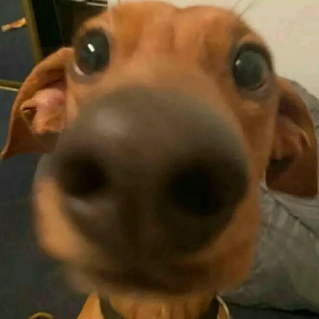 歪歪