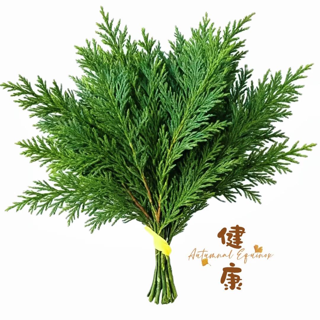 吁