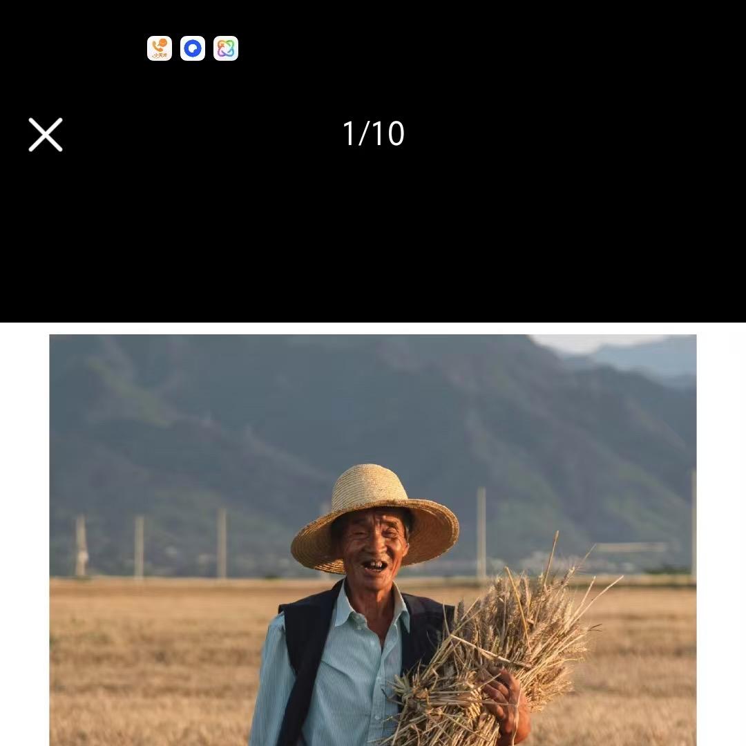 23406618454