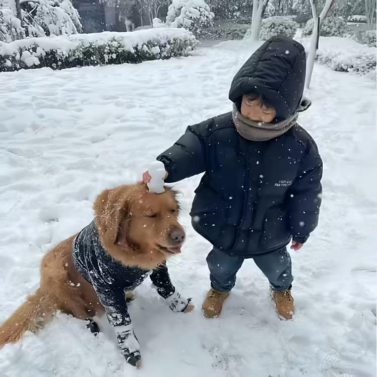 满天星