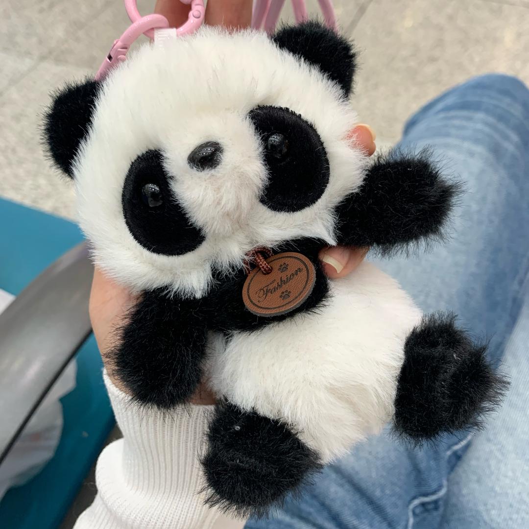 小琪
