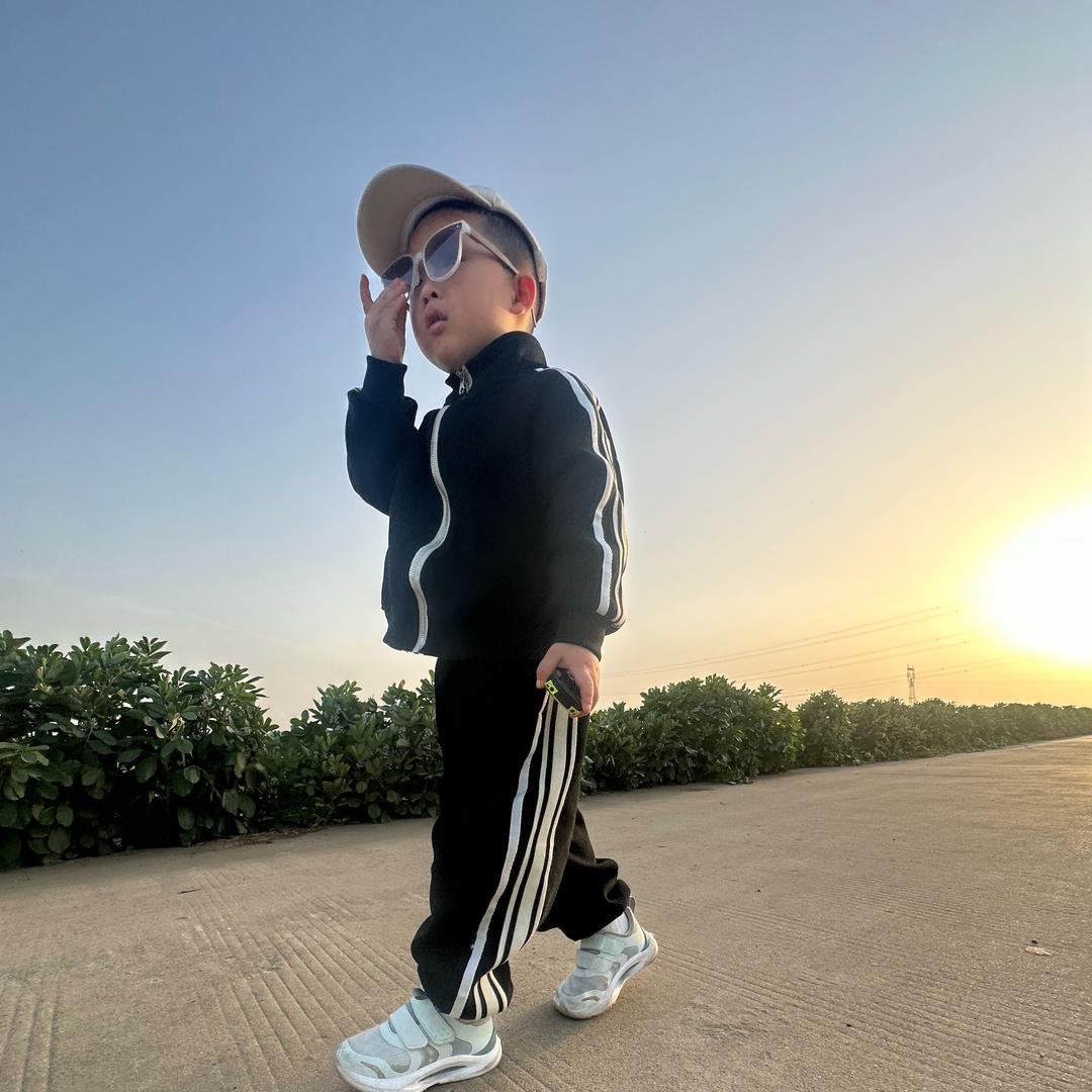 重生之我的儿叫向七七