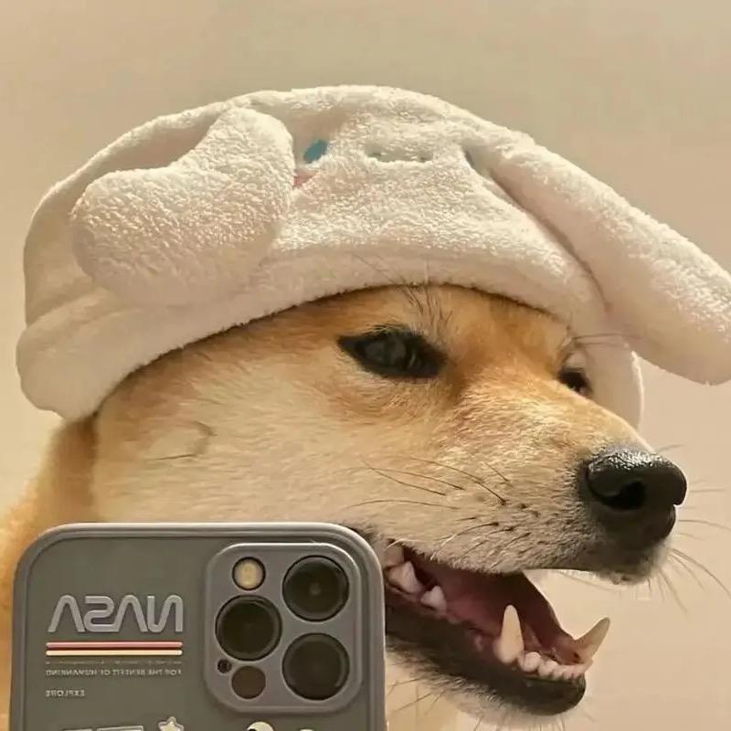 李哈哈🍊
