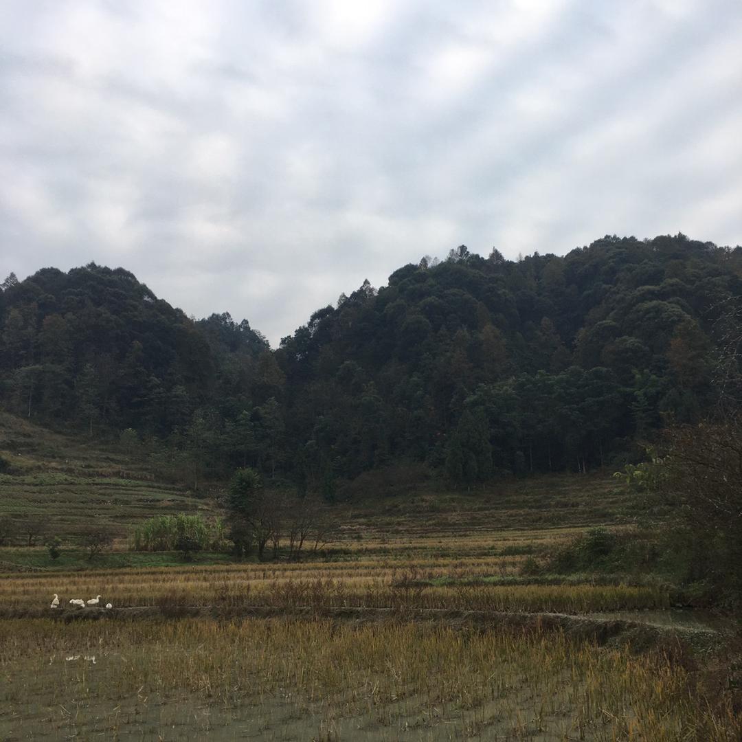 天天平安