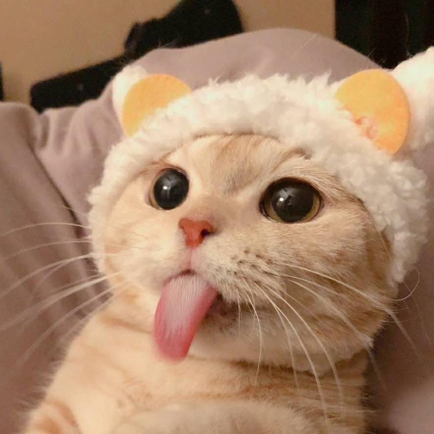 是傻嘚儿吖！