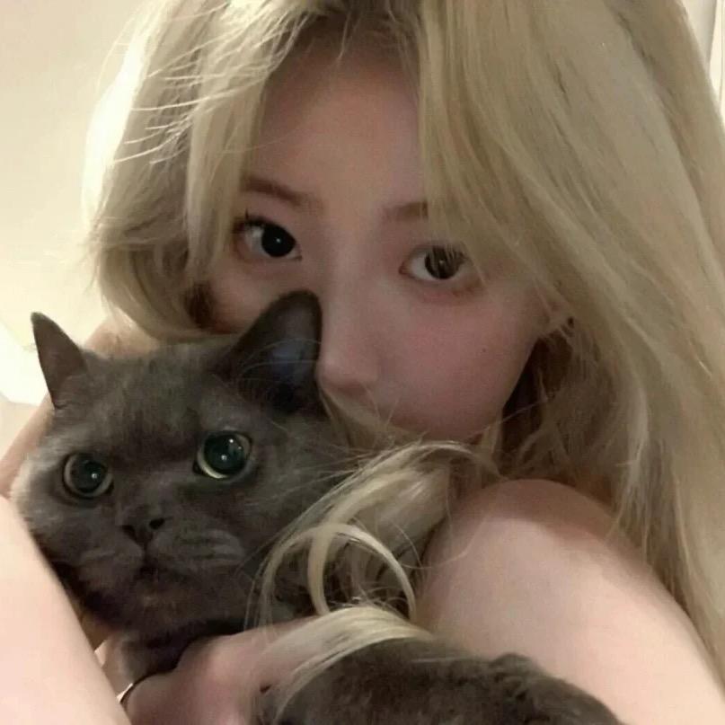游鱼的六月记🐾
