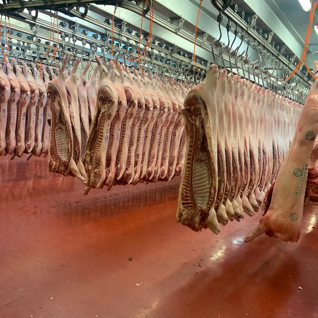 上海味呗生鲜猪肉鸡🐔批发