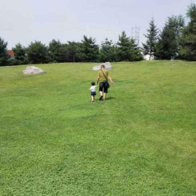 阿米利亚斯头像