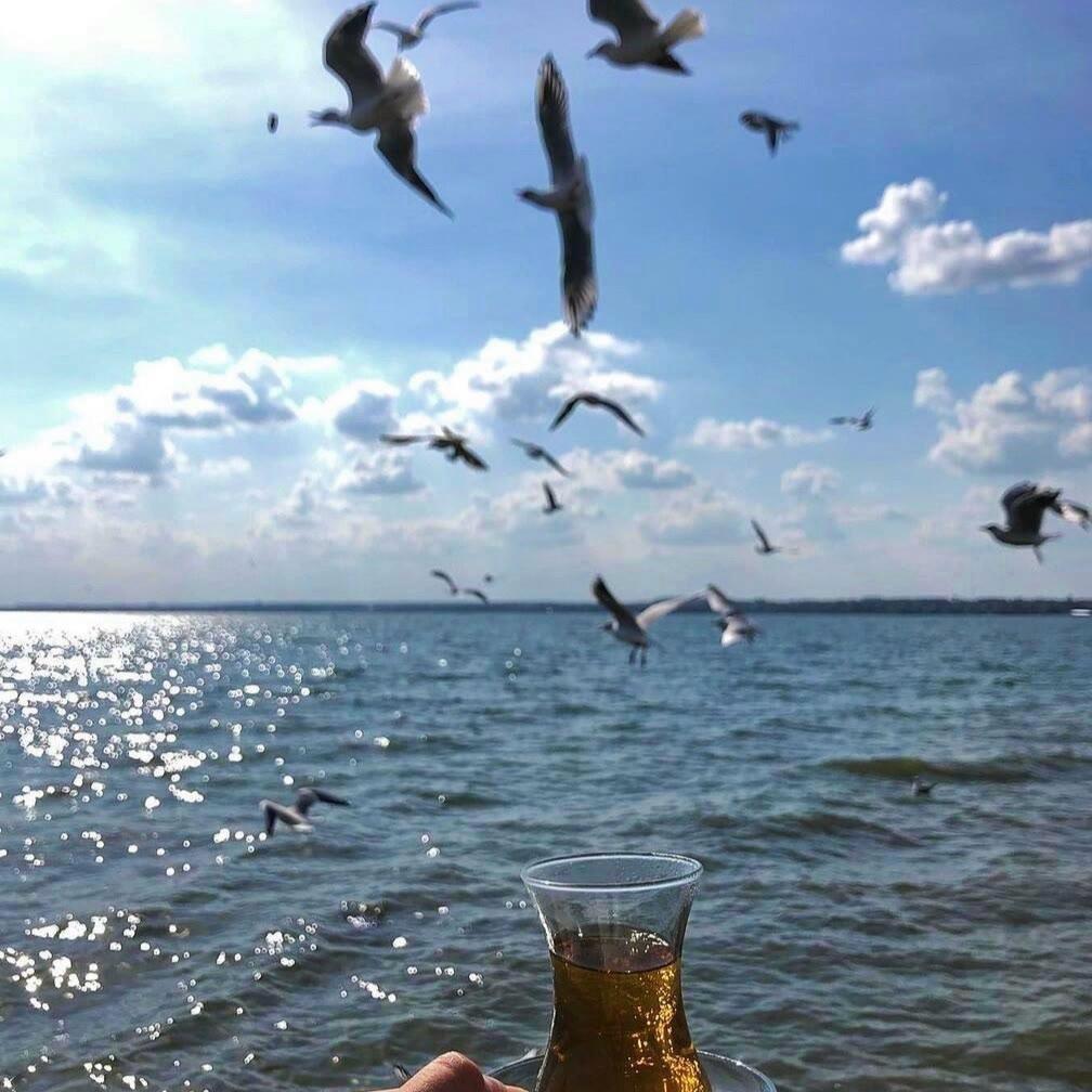 长歌悠扬🌞