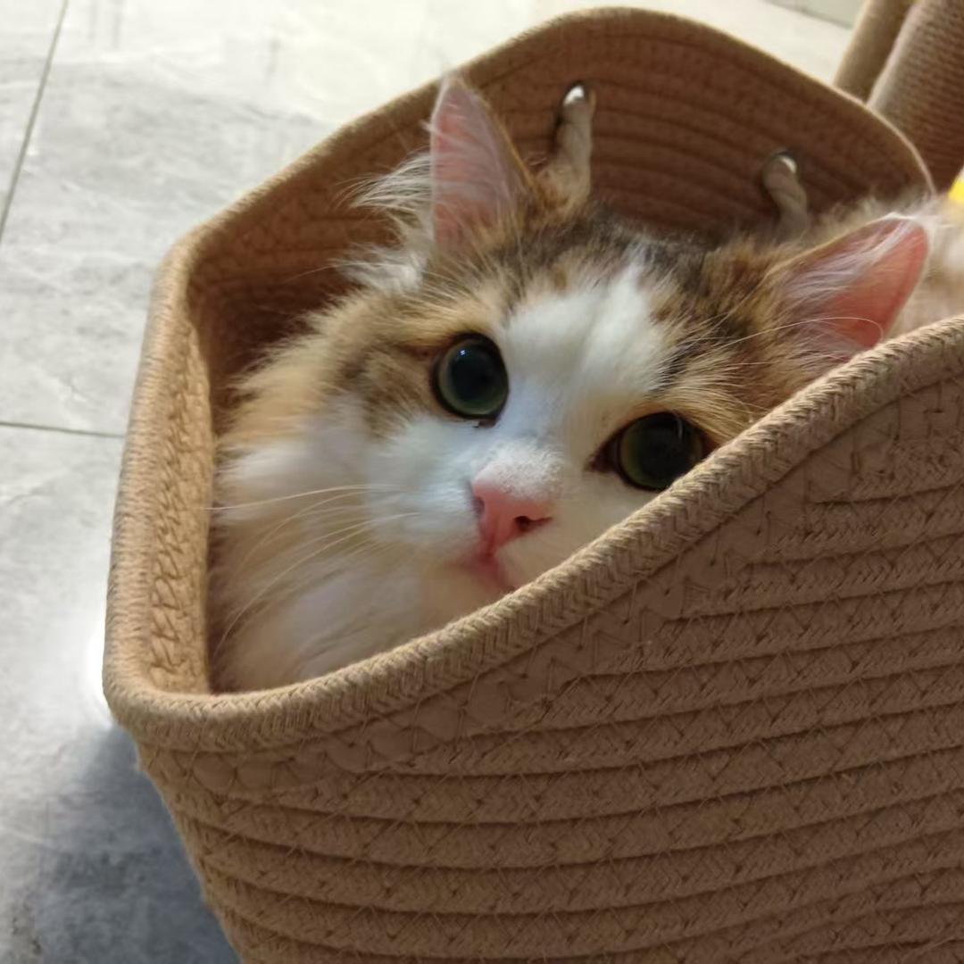 漂亮😻阿姨🧍‍♀️