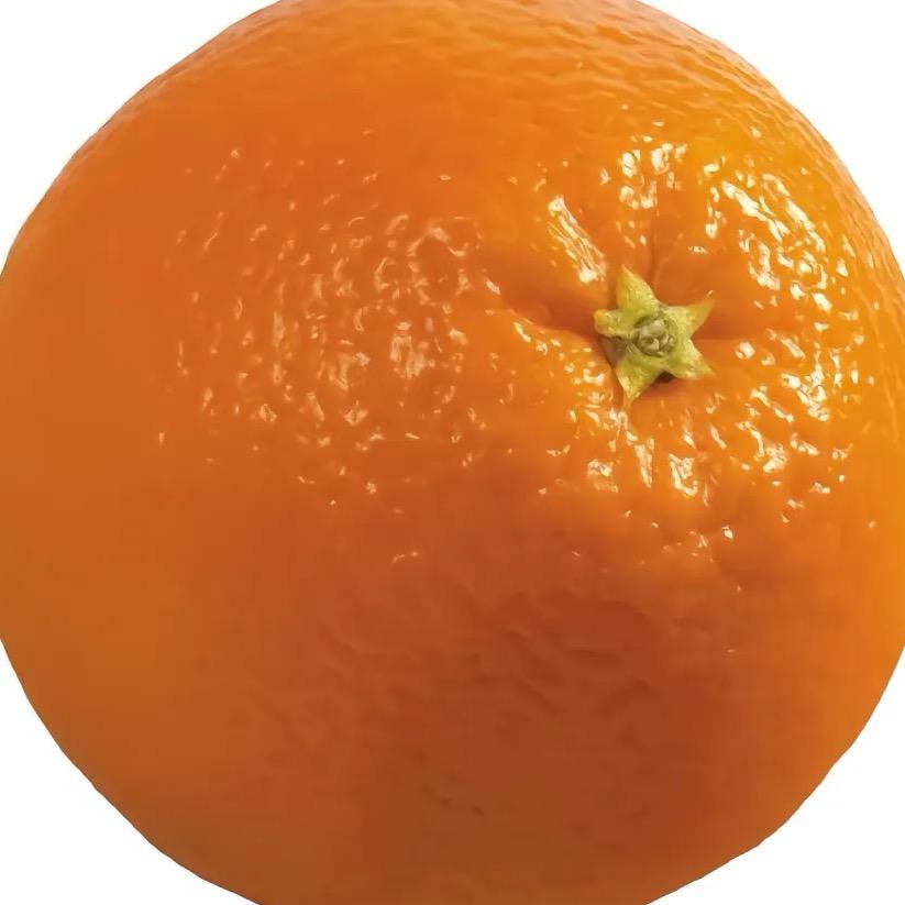橙子