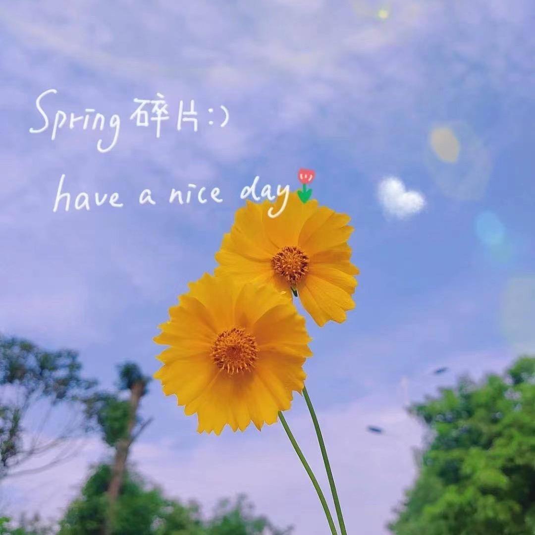 心暖向阳