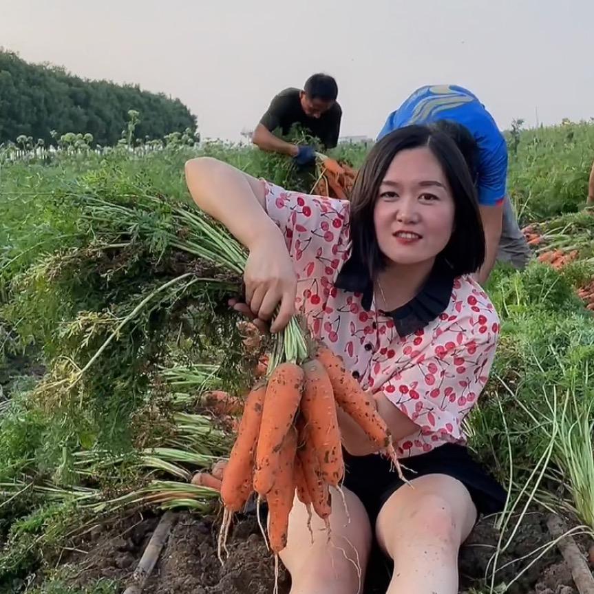 寿信园艺种子专卖店