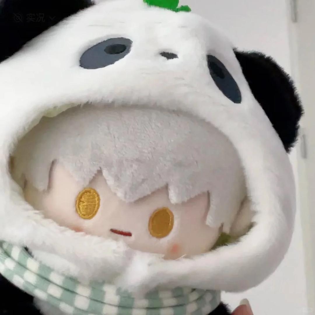 楚猫猫