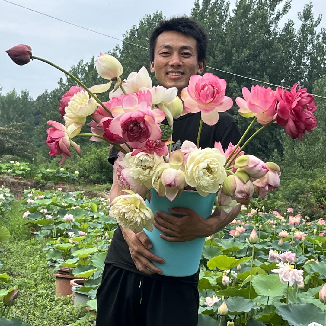 匠心莲苑