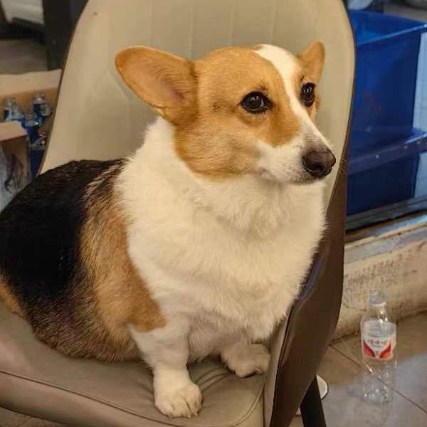 玖玖酒吧冰冰