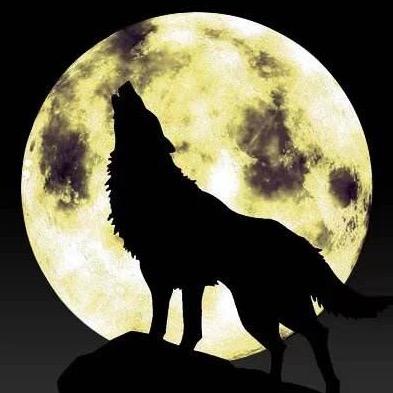 伊柯瑞斯树脂板