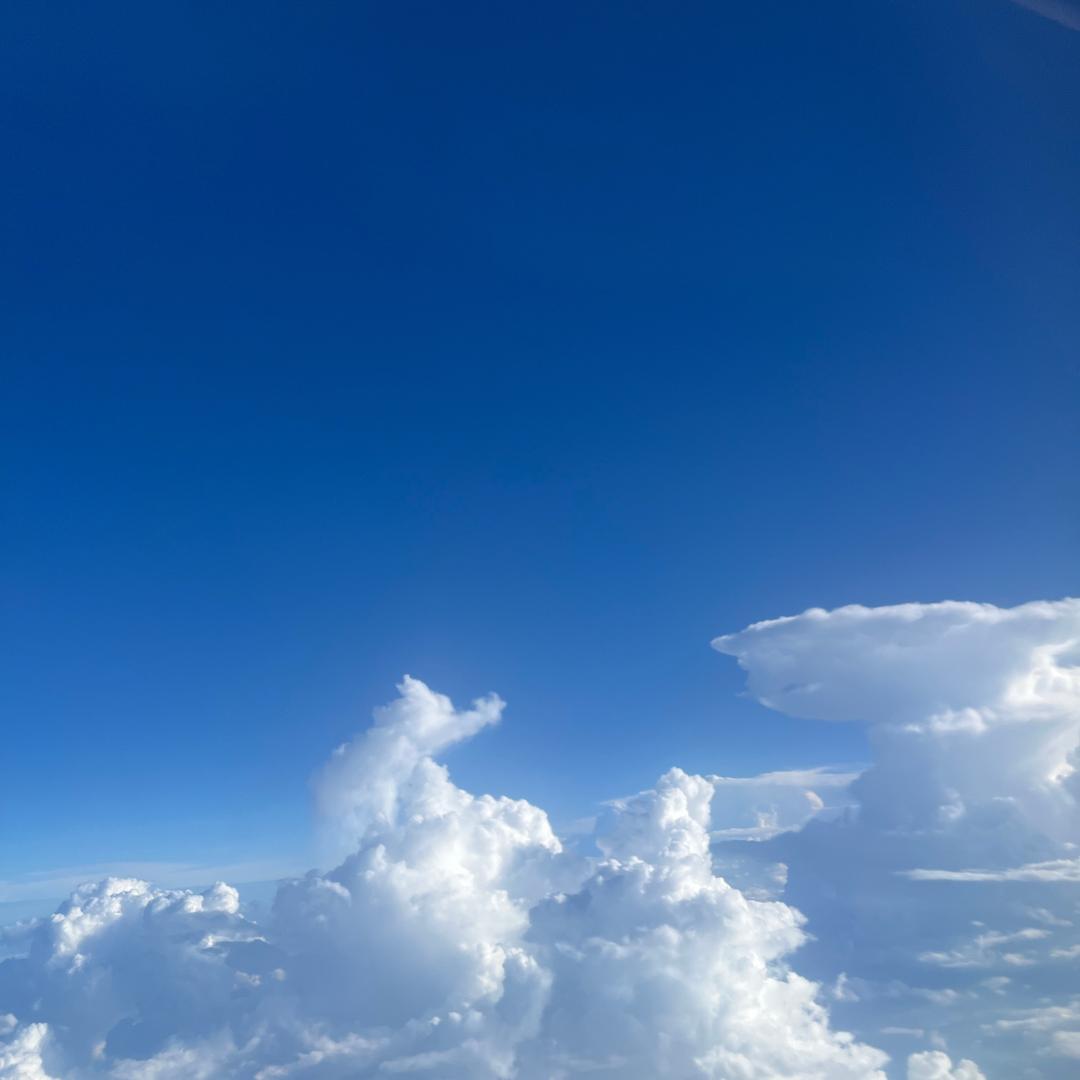 雷U