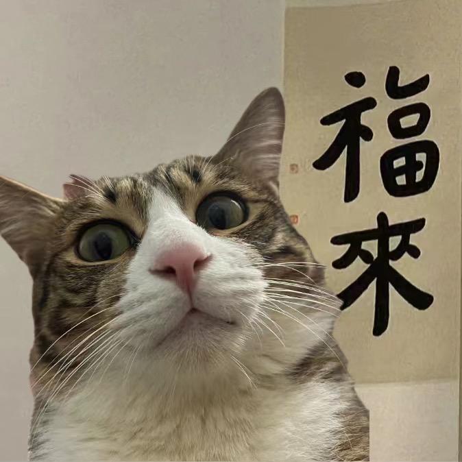 能./