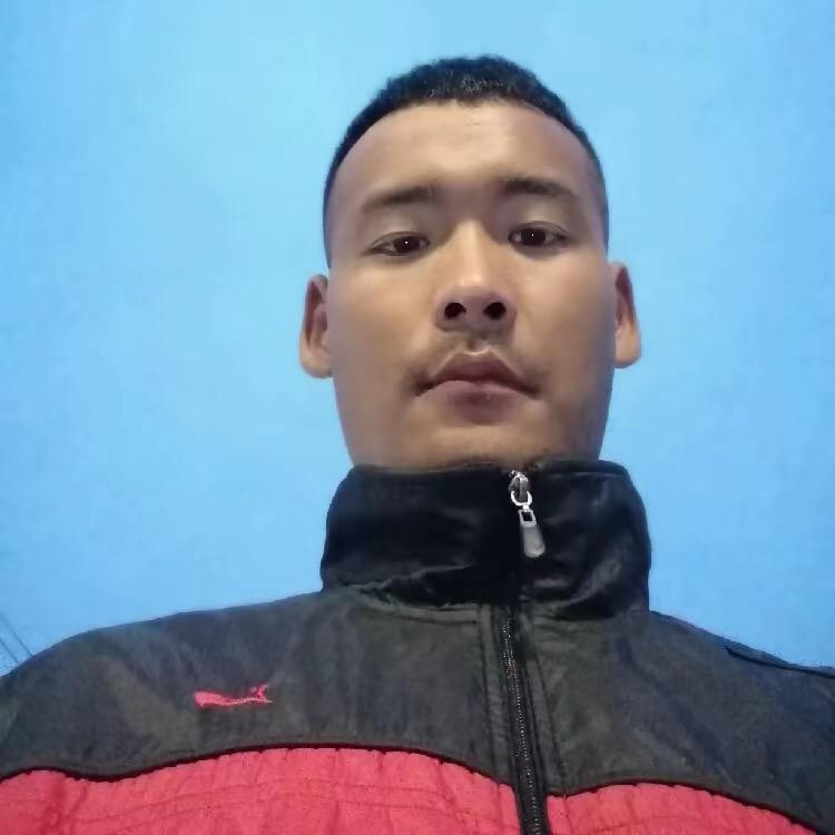 自由飞翔