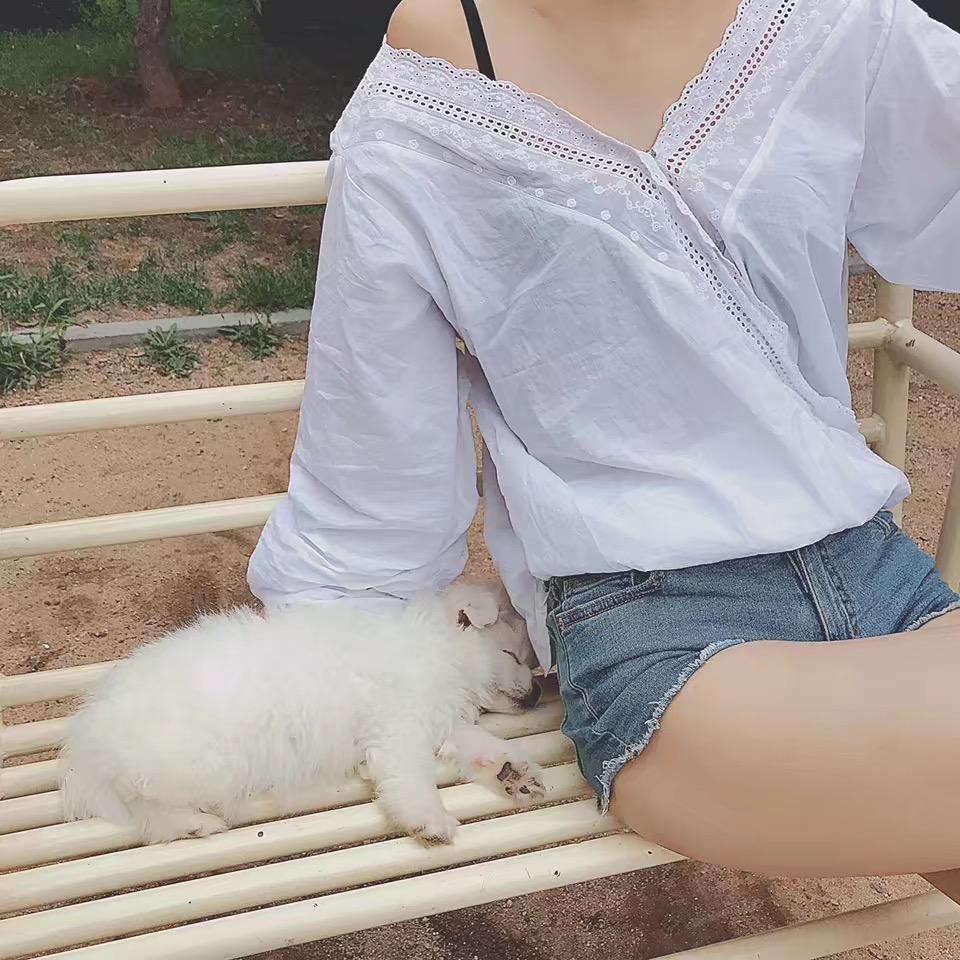 鱼饼饼