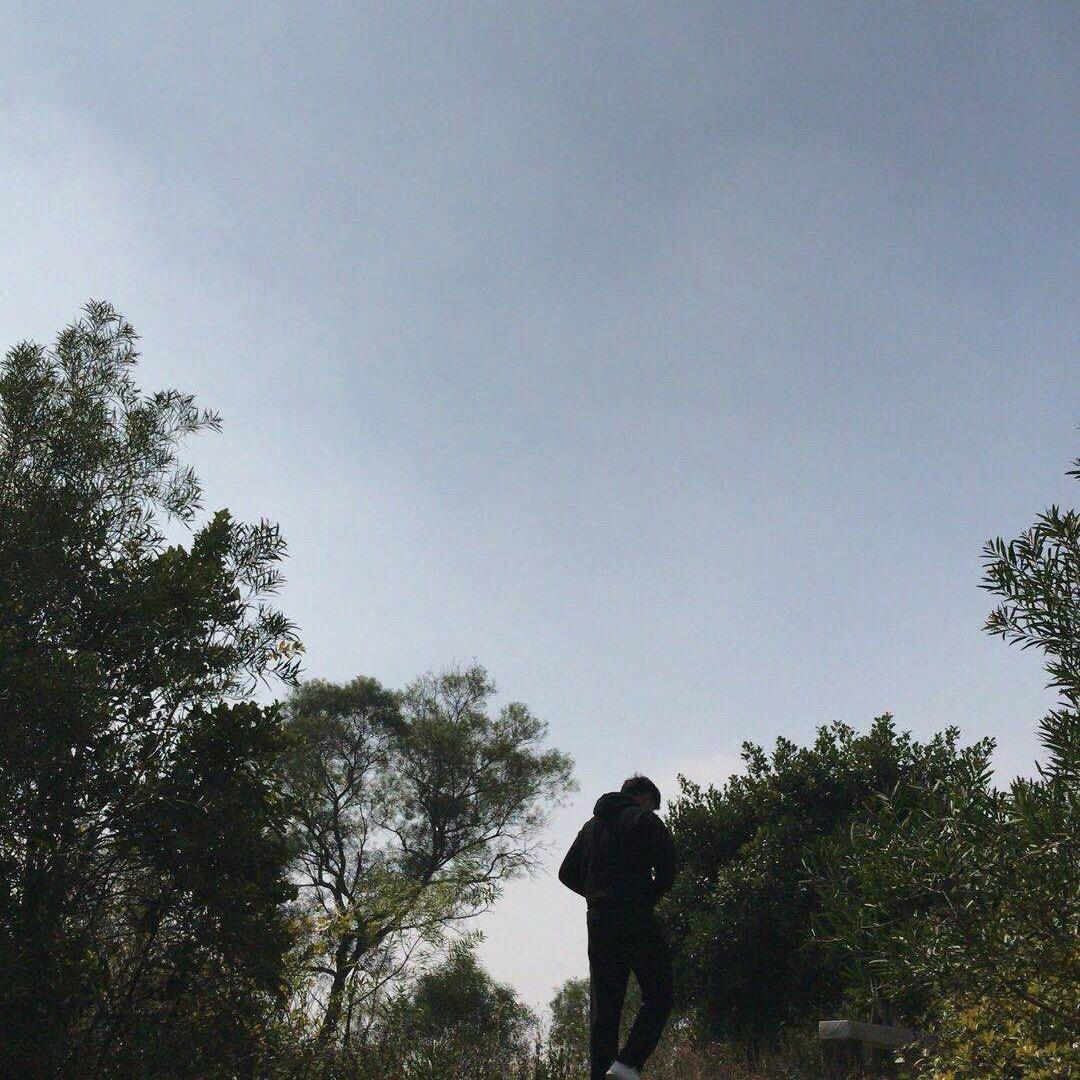 龙猫不懂宫崎骏i