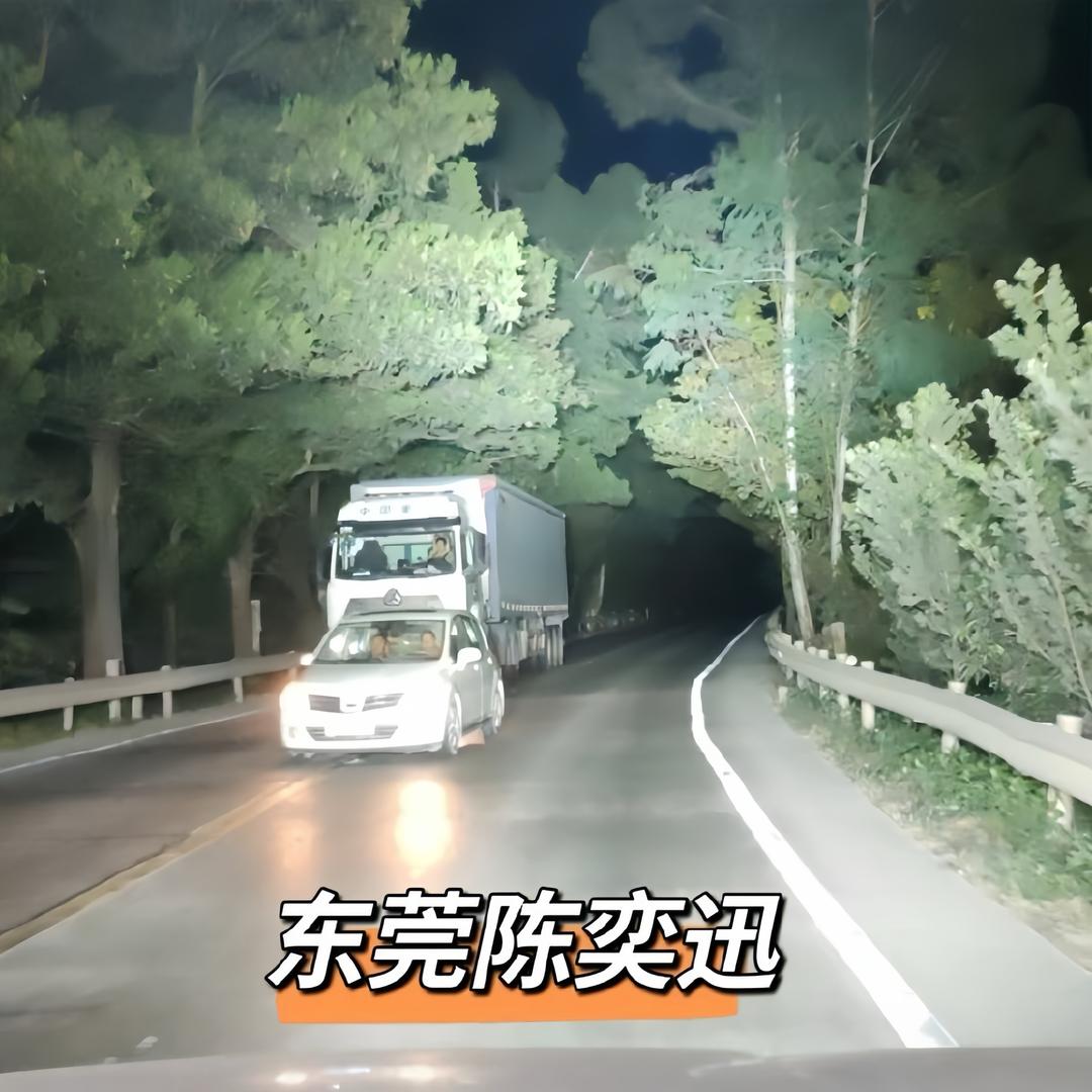 东莞陈奕迅