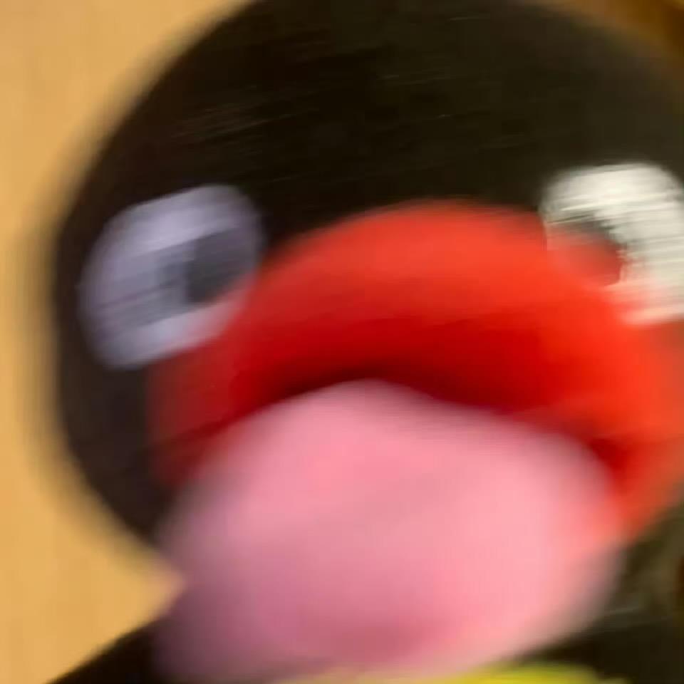 旋转腿毛