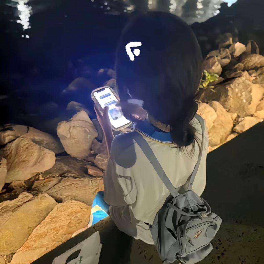 烫手🦋的冰🌸