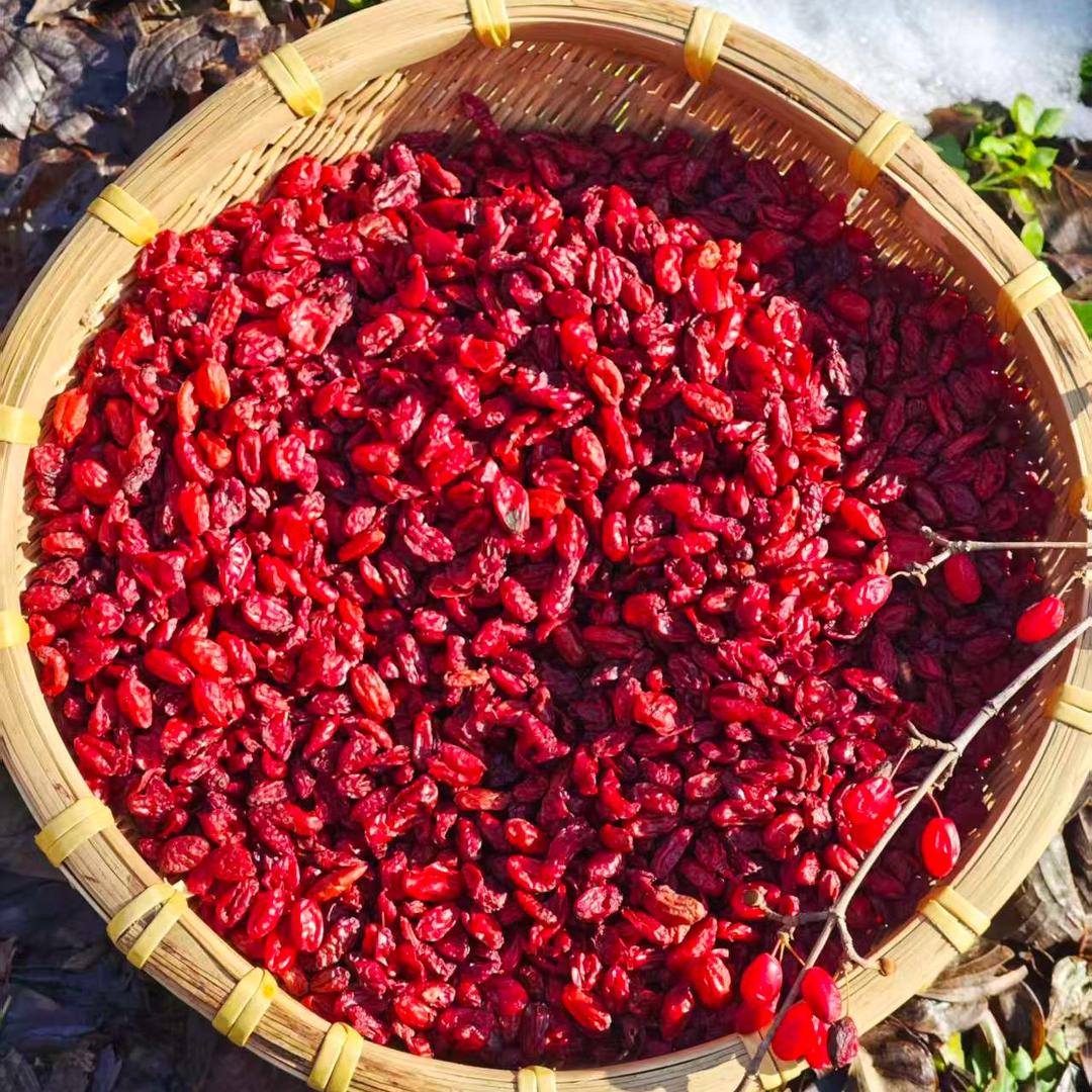 跟着小马哥山野寻味