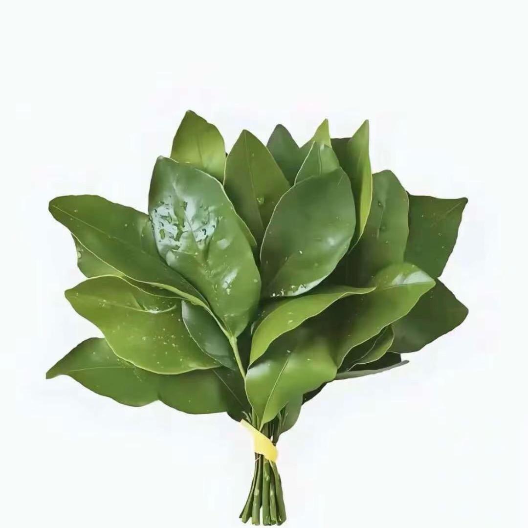 一月.