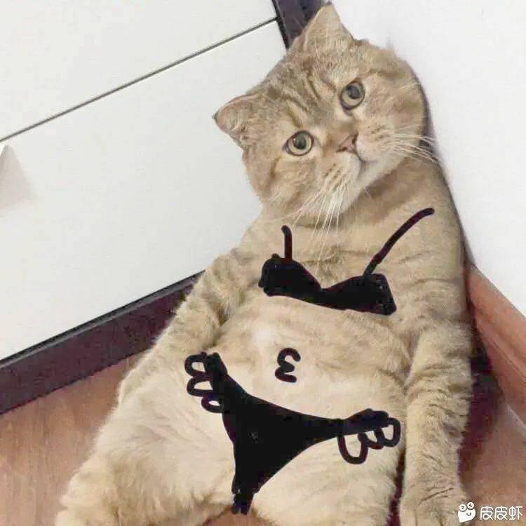 美少女战士