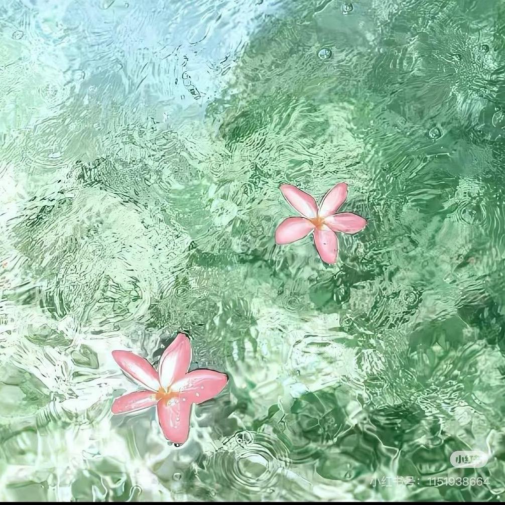 🌟