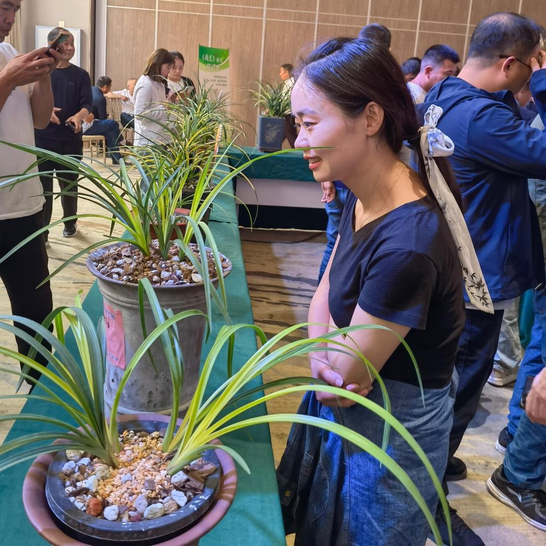 灵珑兰亭（钟祥 灵儿）