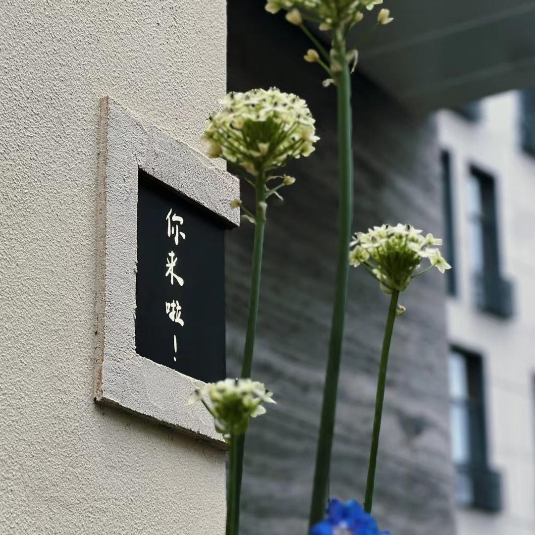 妮坷手工