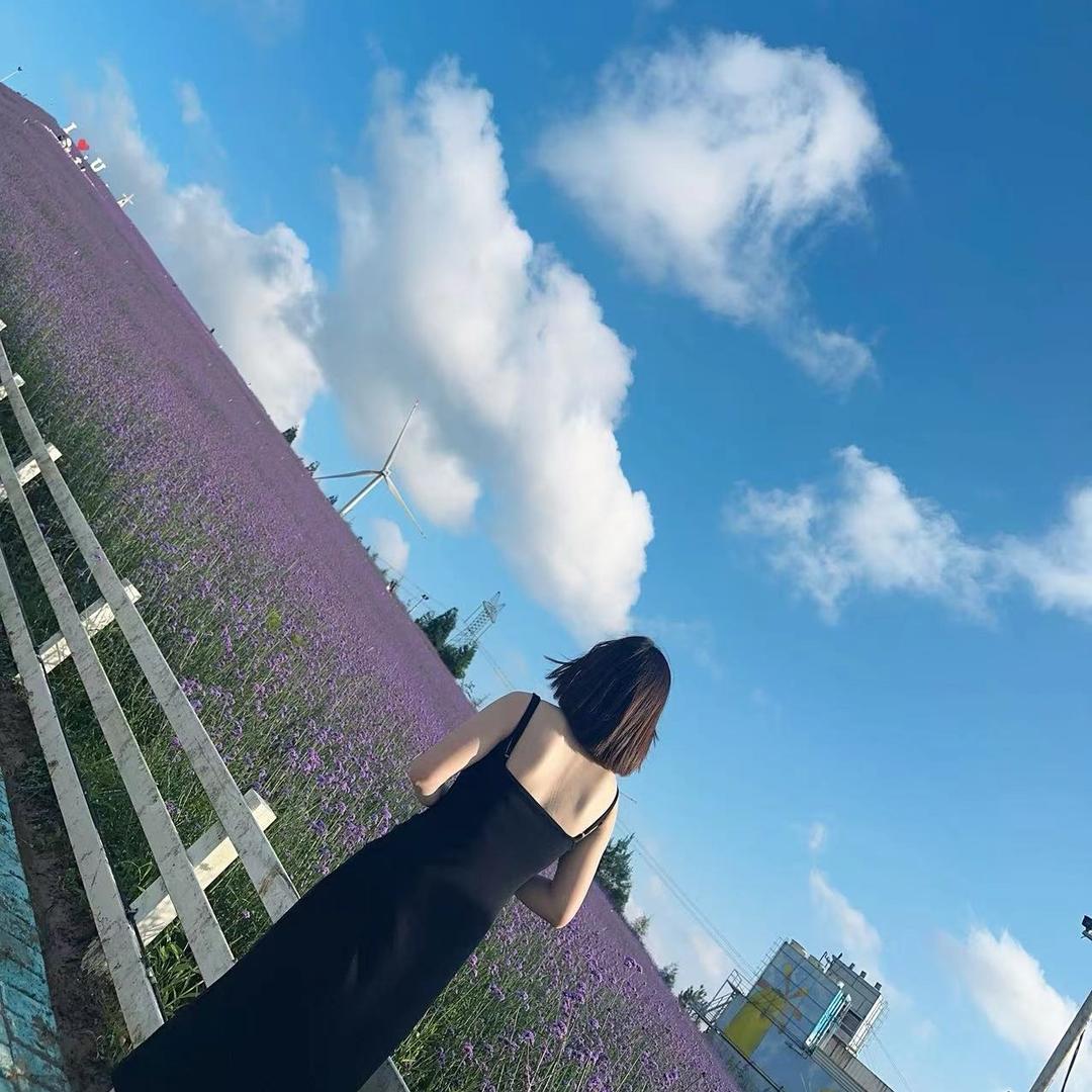 龙丽