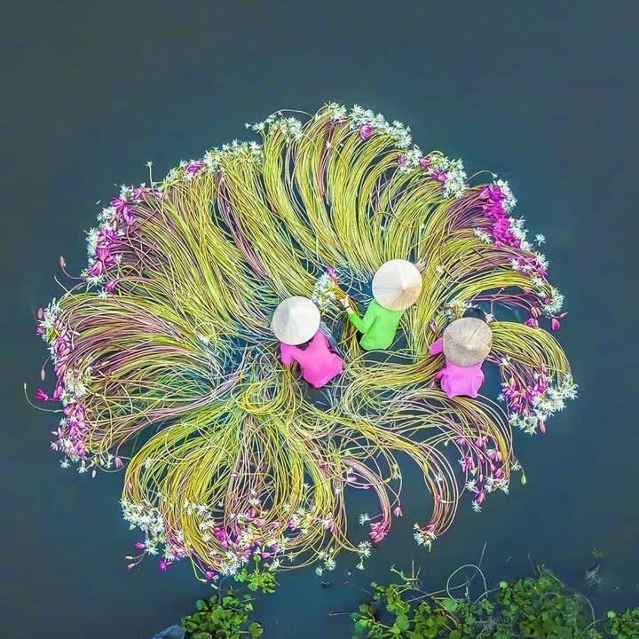 青山笑我己暮年