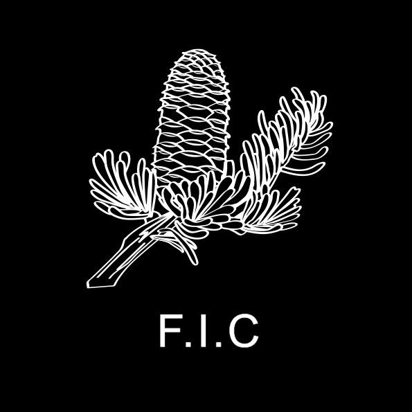 朱先生 FIC