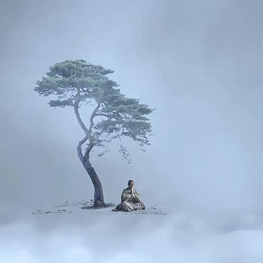 ⭐️💫/এ尛.阿松