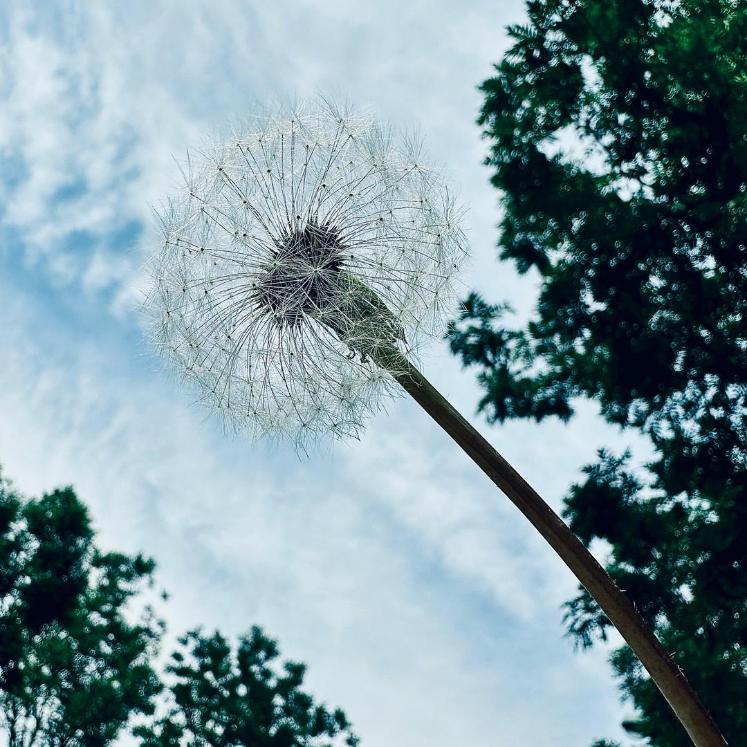 烟雨遗留的晴天